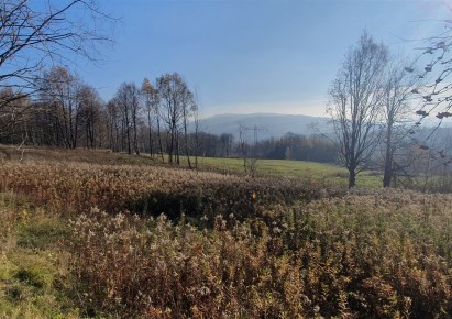 działka na sprzedaż - Stare Bogaczowice, Lubomin