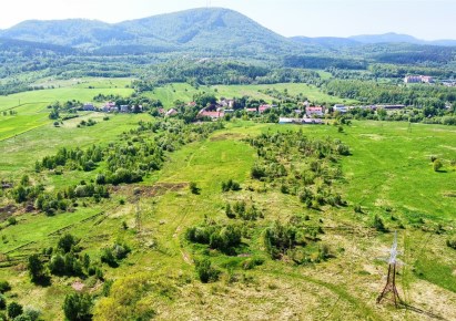 działka na sprzedaż - Wałbrzych, Biały Kamień