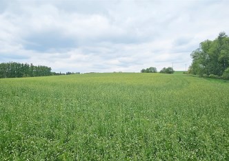 działka na sprzedaż - Wałbrzych, Rusinowa
