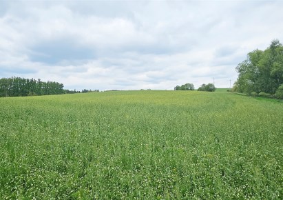 działka na sprzedaż - Wałbrzych, Rusinowa