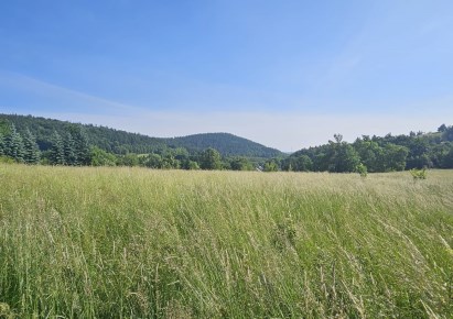 działka na sprzedaż - Jedlina-Zdrój, Kamieńsk