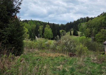 dom na sprzedaż - Mieroszów (gw), Kowalowa