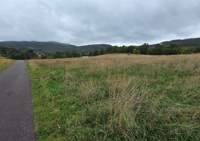 działka na sprzedaż - Stare Bogaczowice, Lubomin